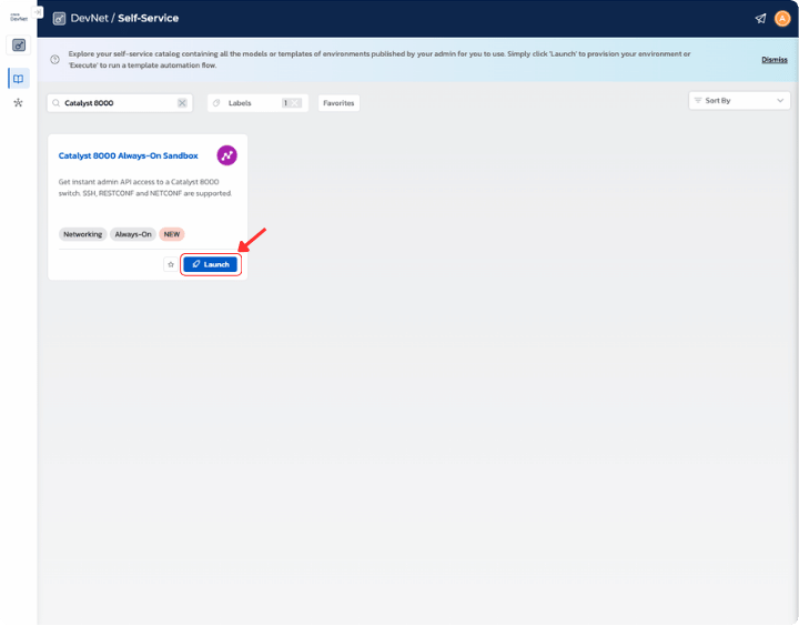 Clicking Launch on Catalyst 8000 Sandbox